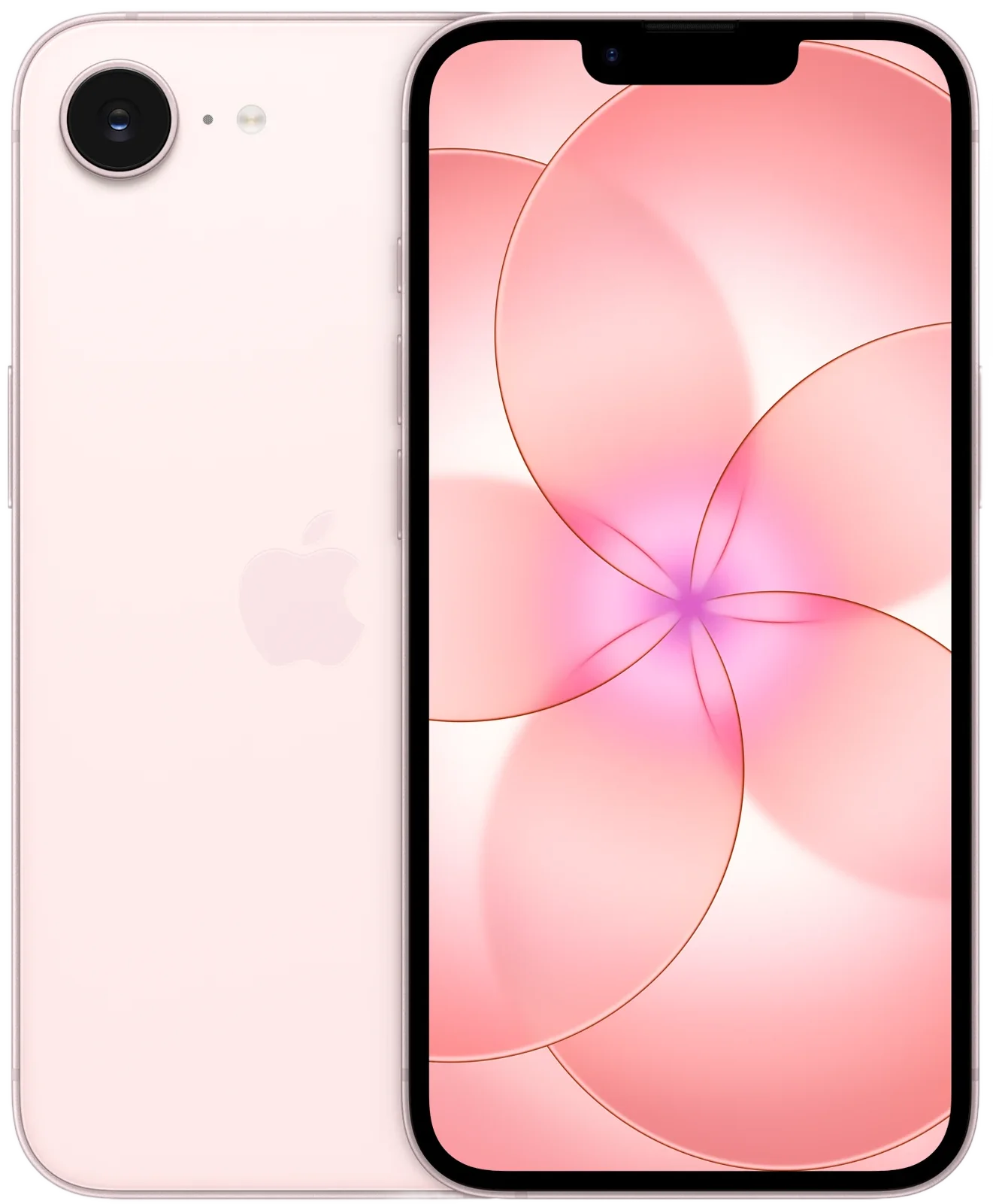 iPhone 17e Soft Pink — розовый цвет
